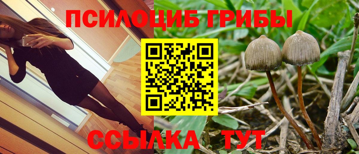 Галлюциногенные грибы Cubensis  Псилоцибиновые грибы мухоморы  Вход с VPN  Брянск 